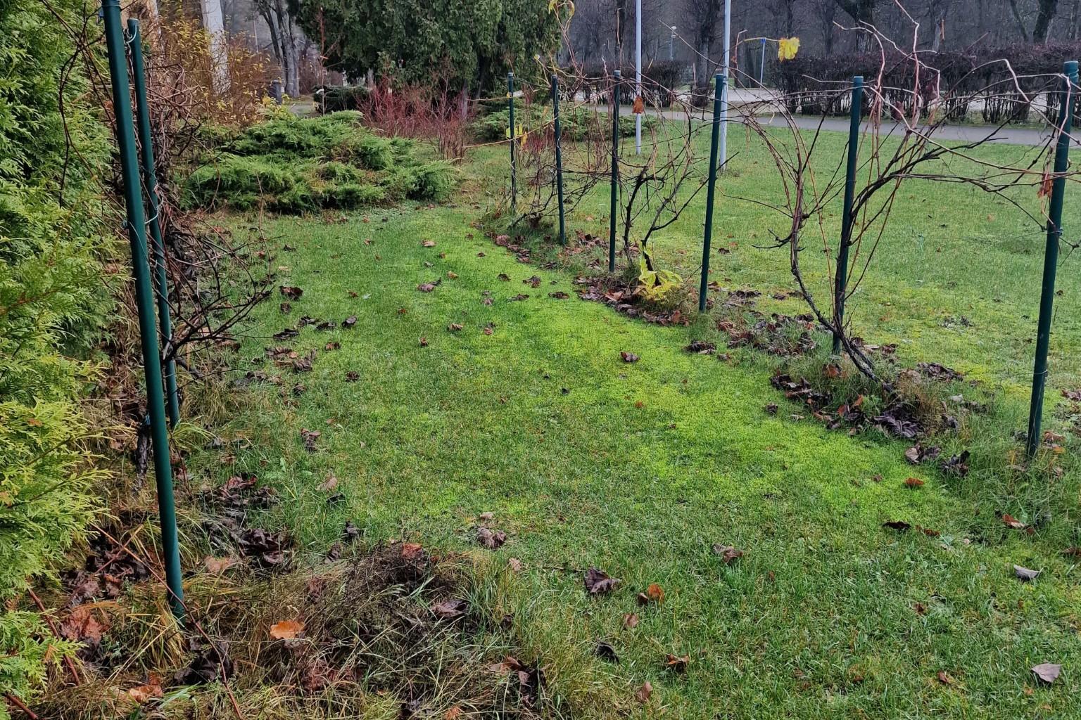 20221104_095641_cropped