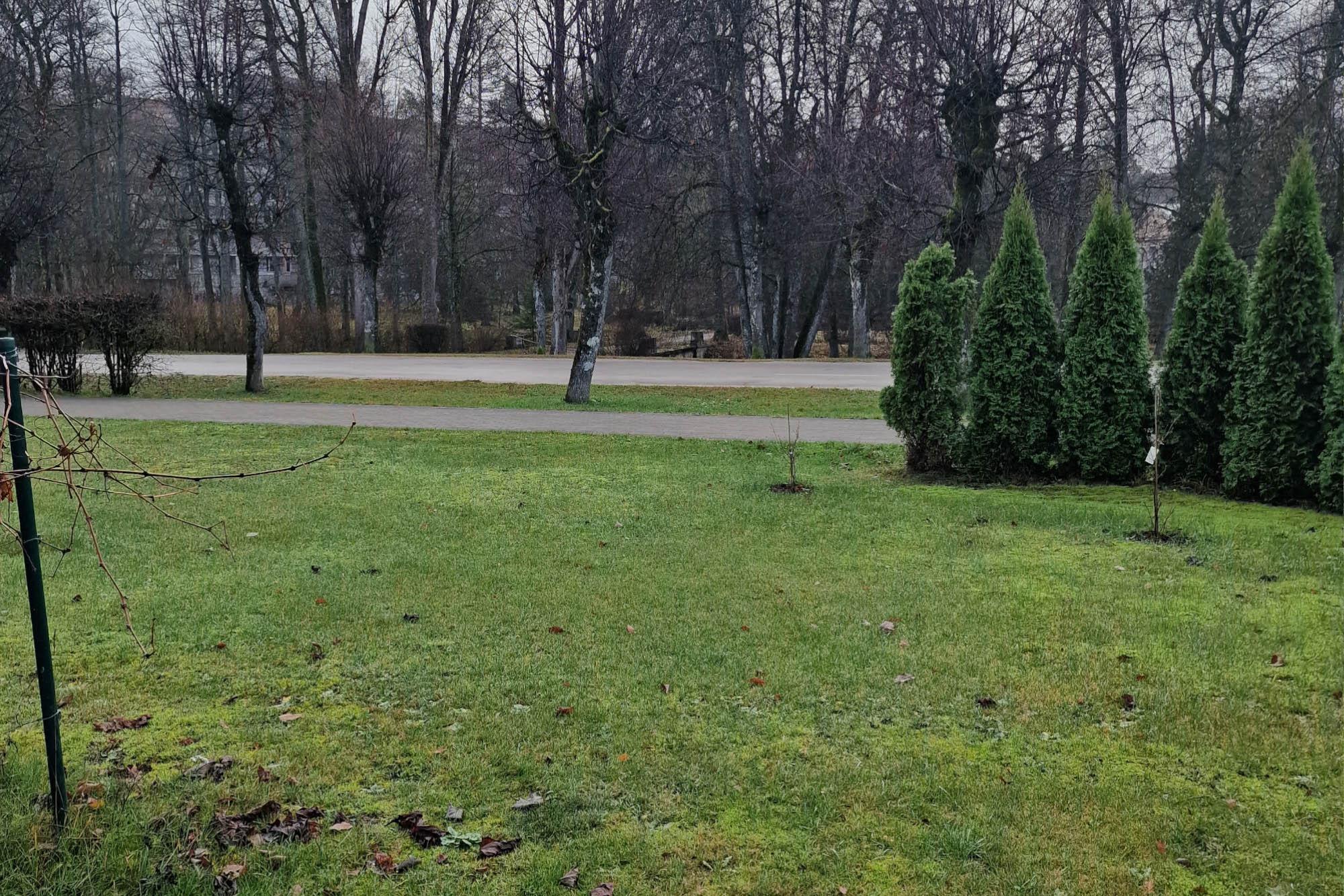 20221104_095644_cropped