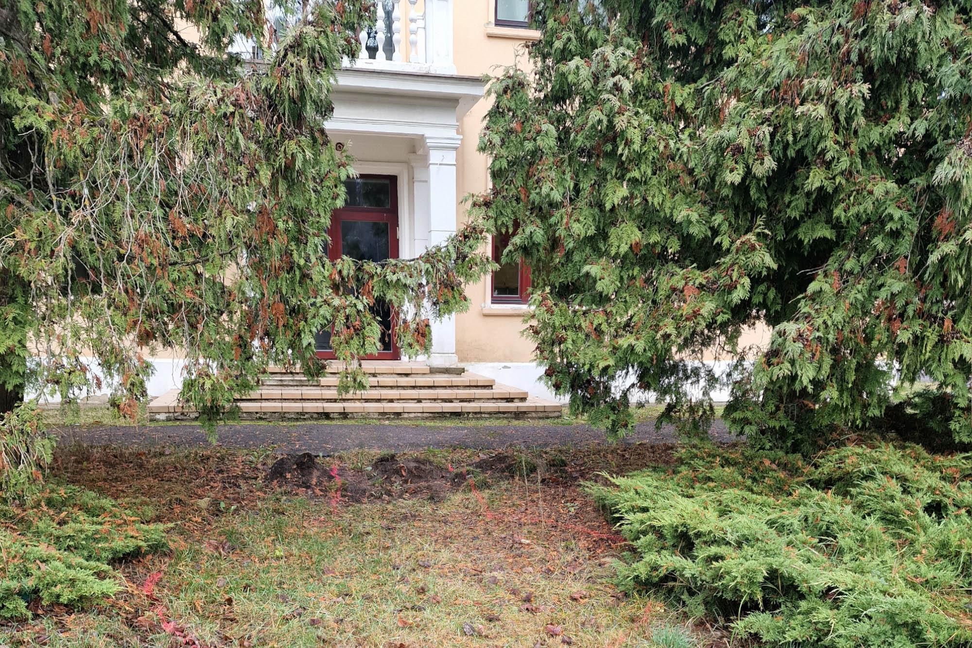 20221104_100042_cropped