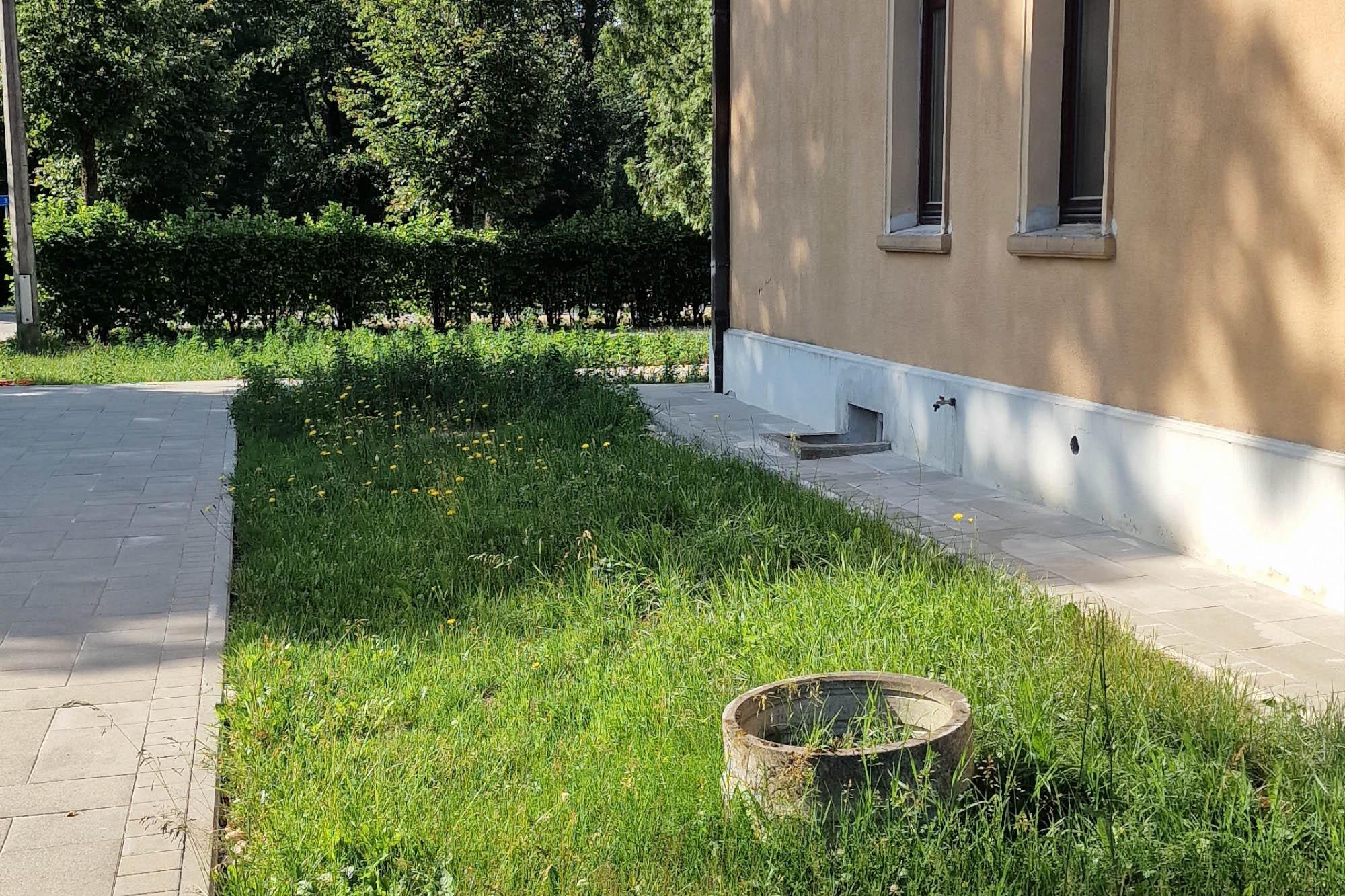 20230628_090030_cropped