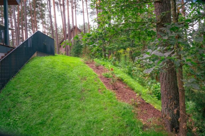 darzs-marsilos-A6708021