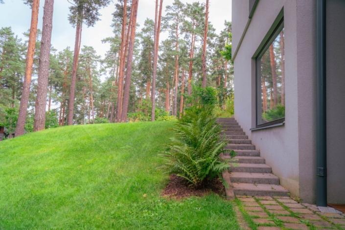 darzs-marsilos-A6708024