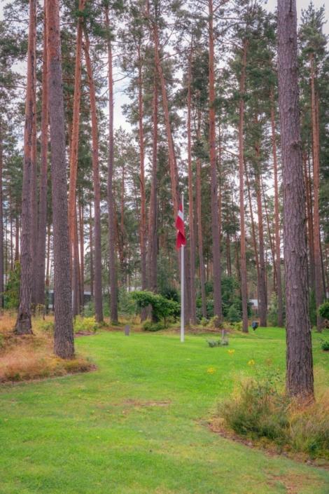 darzs-marsilos-A6708029