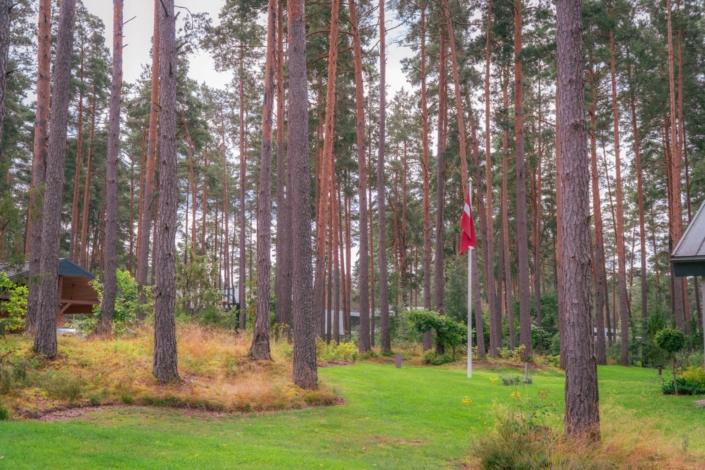 darzs-marsilos-A6708031