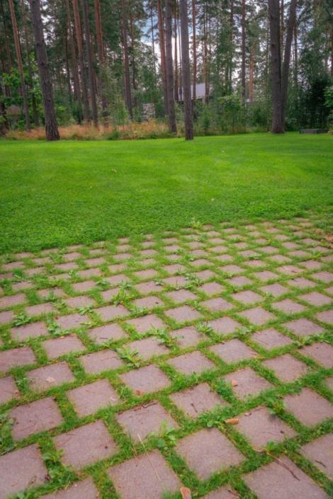 darzs-marsilos-A6708048