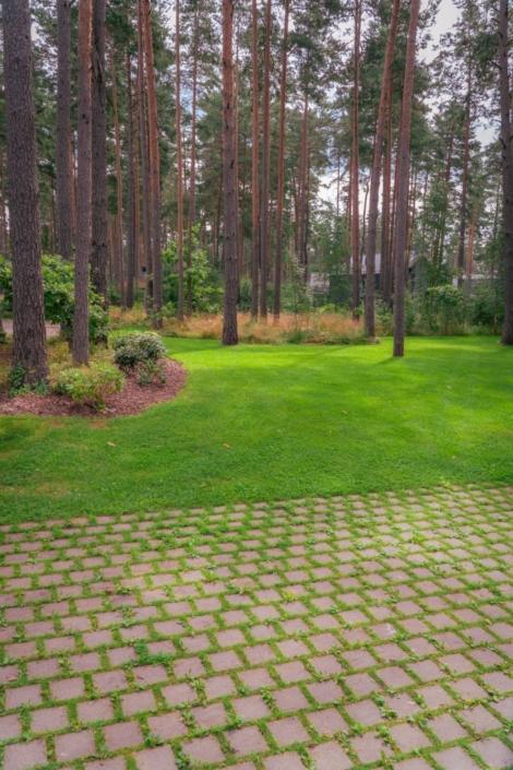 darzs-marsilos-A6708052