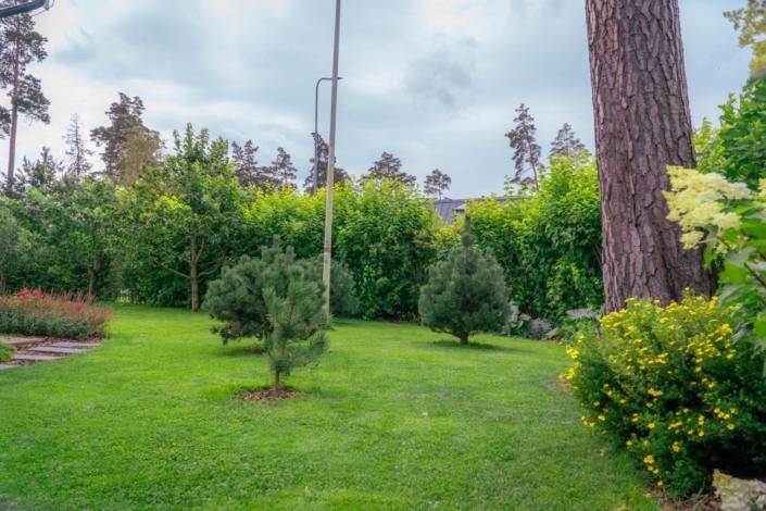 darzs-garupe-A6708086