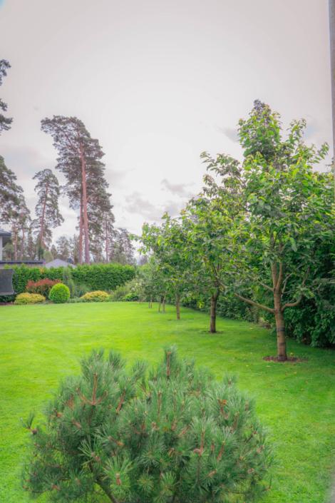 darzs-garupe-A6708089