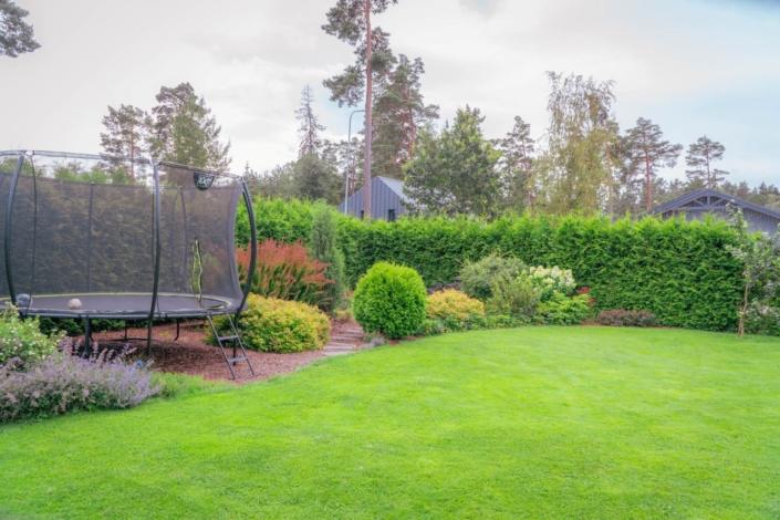 darzs-garupe-A6708095