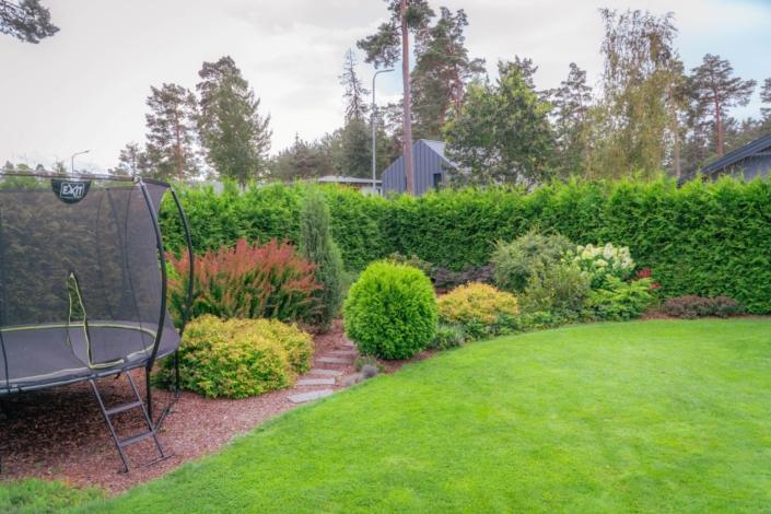 darzs-garupe-A6708096