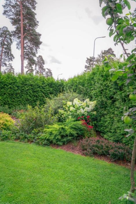 darzs-garupe-A6708097