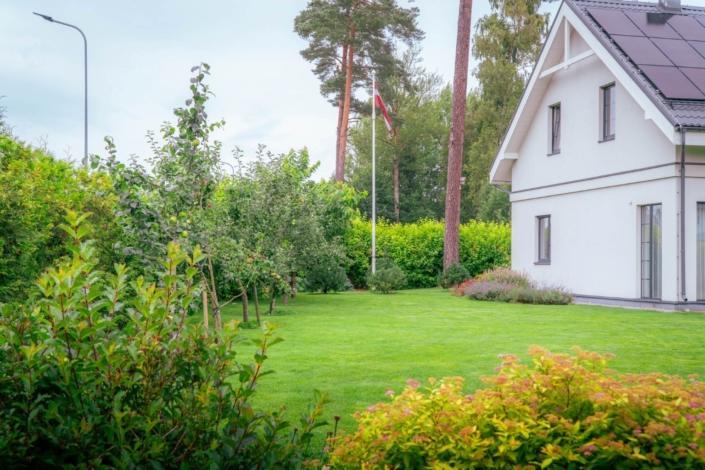 darzs-garupe-A6708103