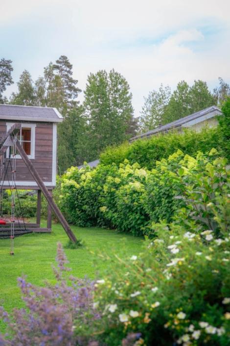 darzs-garupe-A6708107