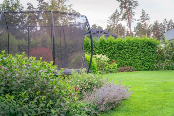 darzs-garupe-A6708110