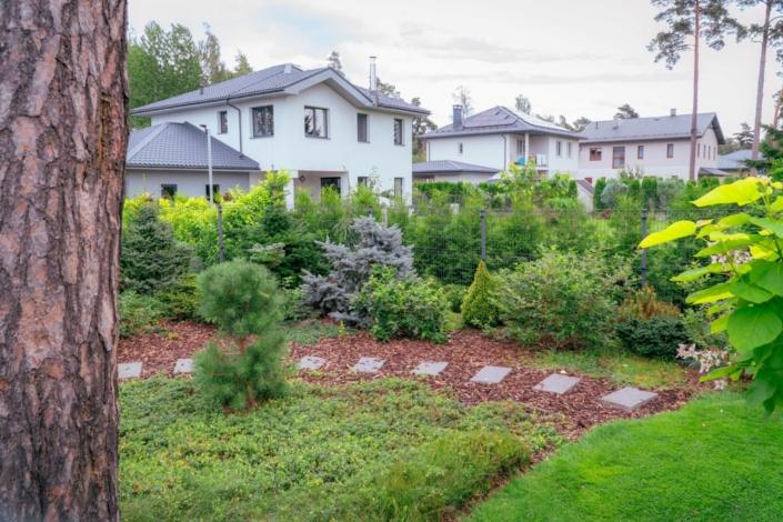 darzs-garupe-A6708116