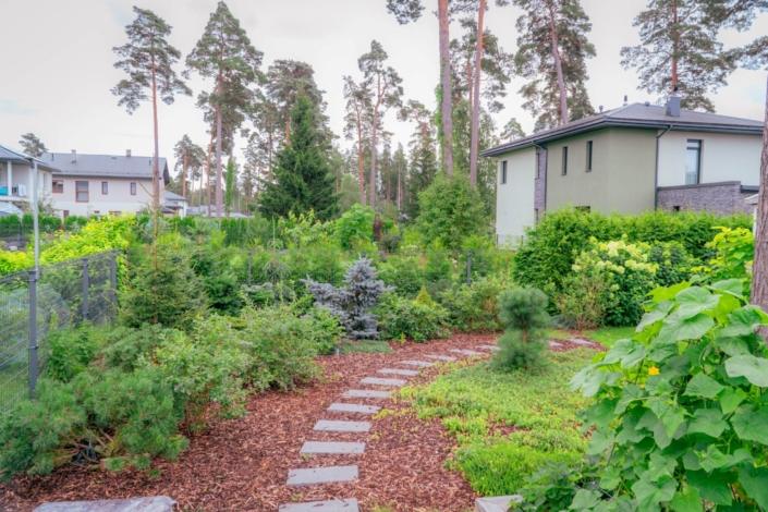 darzs-garupe-A6708130