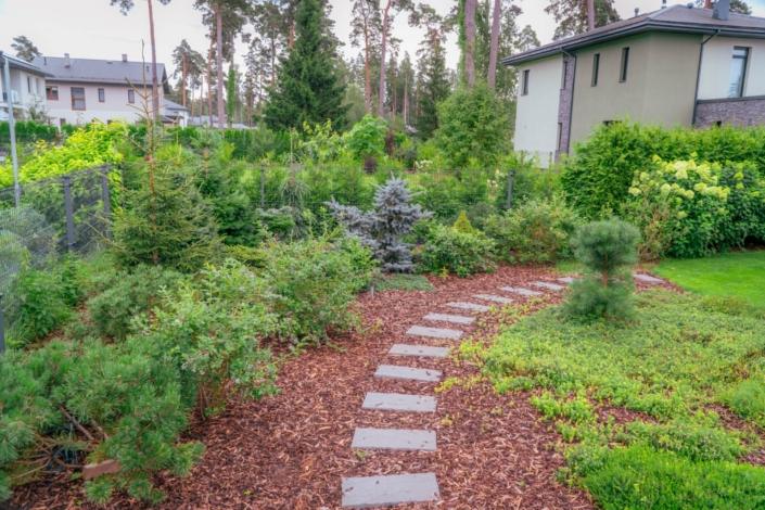 darzs-garupe-A6708132