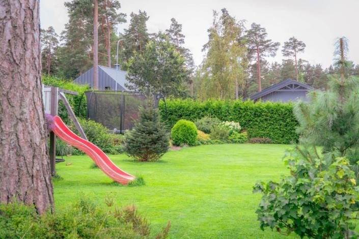 darzs-garupe-A6708134