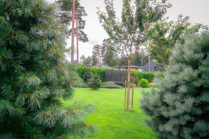 darzs-garupe-A6708136