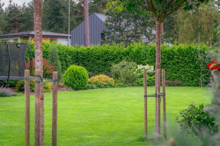 darzs-garupe-A6708139