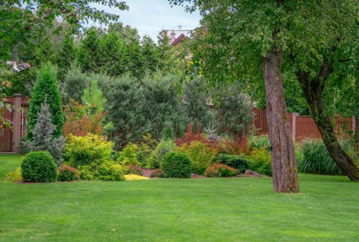 bauskas-iela-A6708188