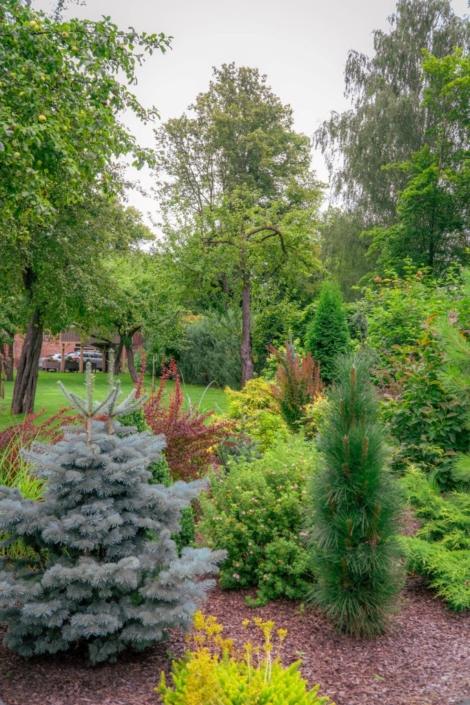 bauskas-iela-A6708198