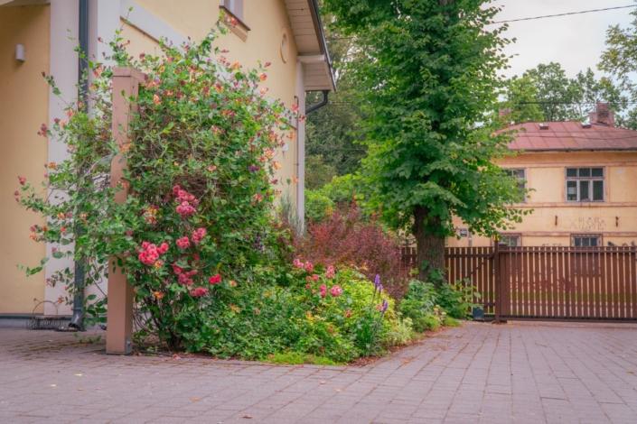 bauskas-iela-A6708227