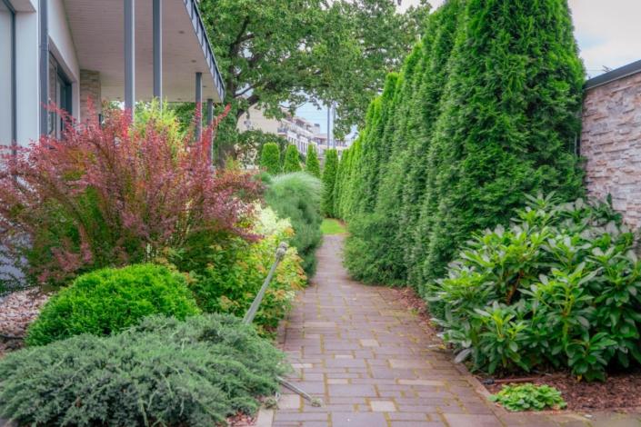 darzs-riga-1-A6708282