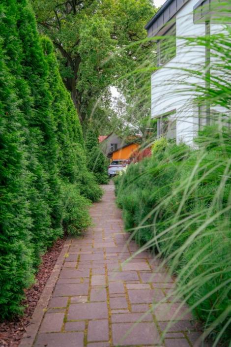 darzs-riga-1-A6708286