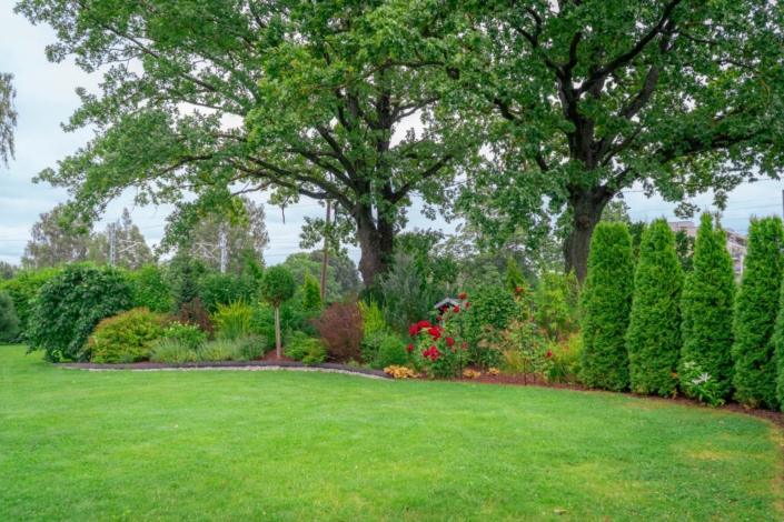 darzs-riga-1-A6708288