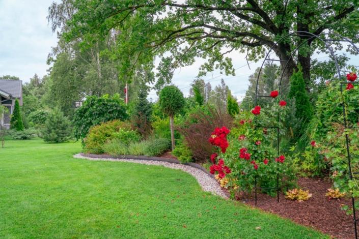 darzs-riga-1-A6708292