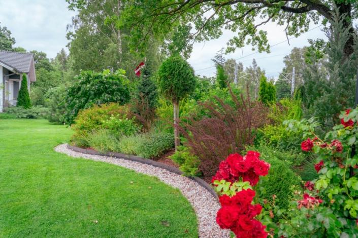 darzs-riga-1-A6708297