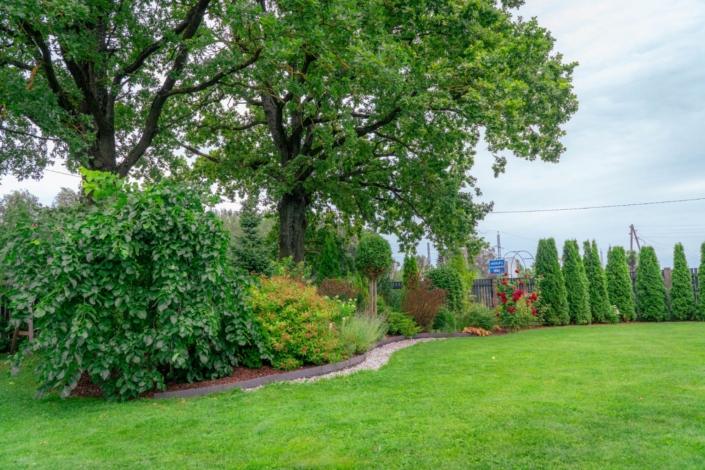 darzs-riga-1-A6708298