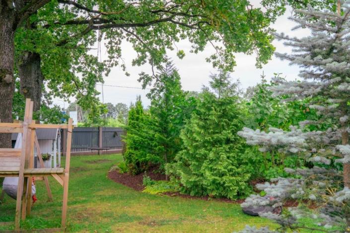 darzs-riga-1-A6708308