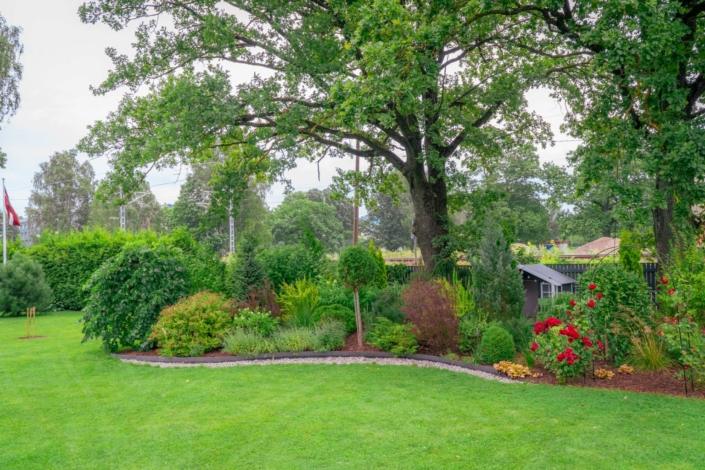 darzs-riga-1-A6708314