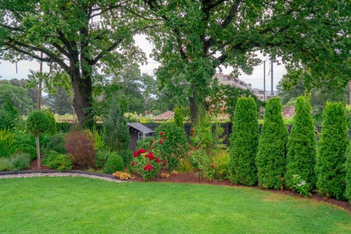 darzs-riga-1-A6708316