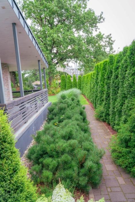 darzs-riga-1-A6708329