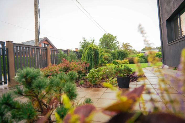 darzs-riga-2-DSC00780