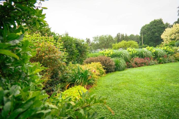 darzs-riga-2-DSC00783