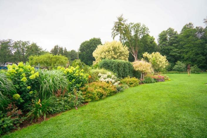 darzs-riga-2-DSC00784