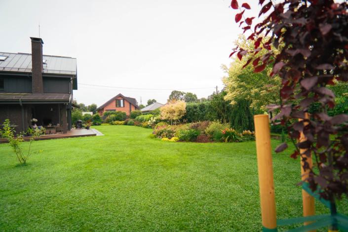 darzs-riga-2-DSC00791