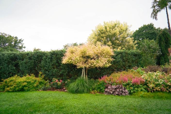 darzs-riga-2-DSC00797