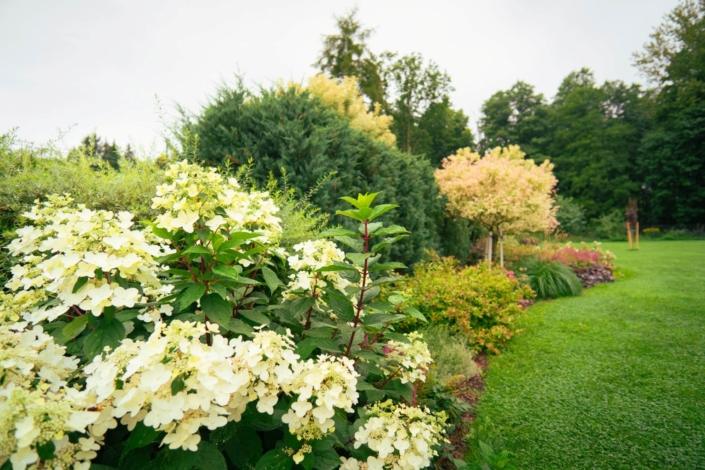 darzs-riga-2-DSC00799