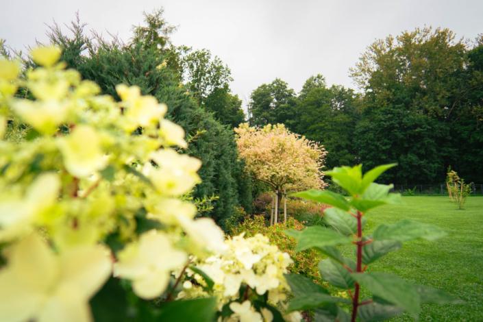 darzs-riga-2-DSC00801