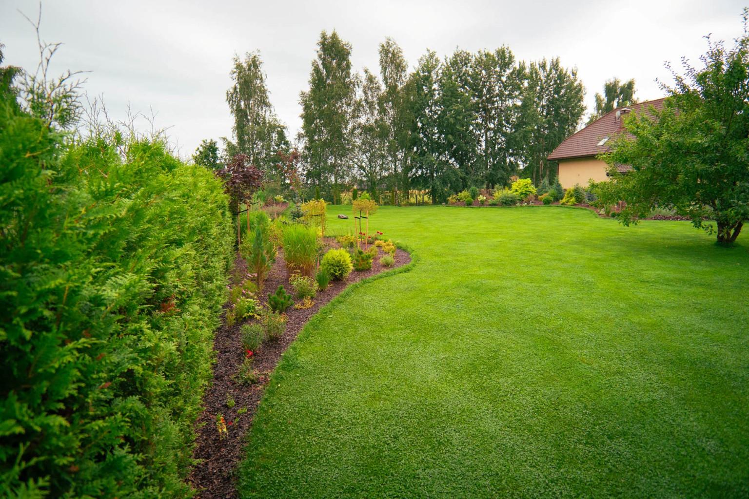 darzs-marupe-1-DSC00806