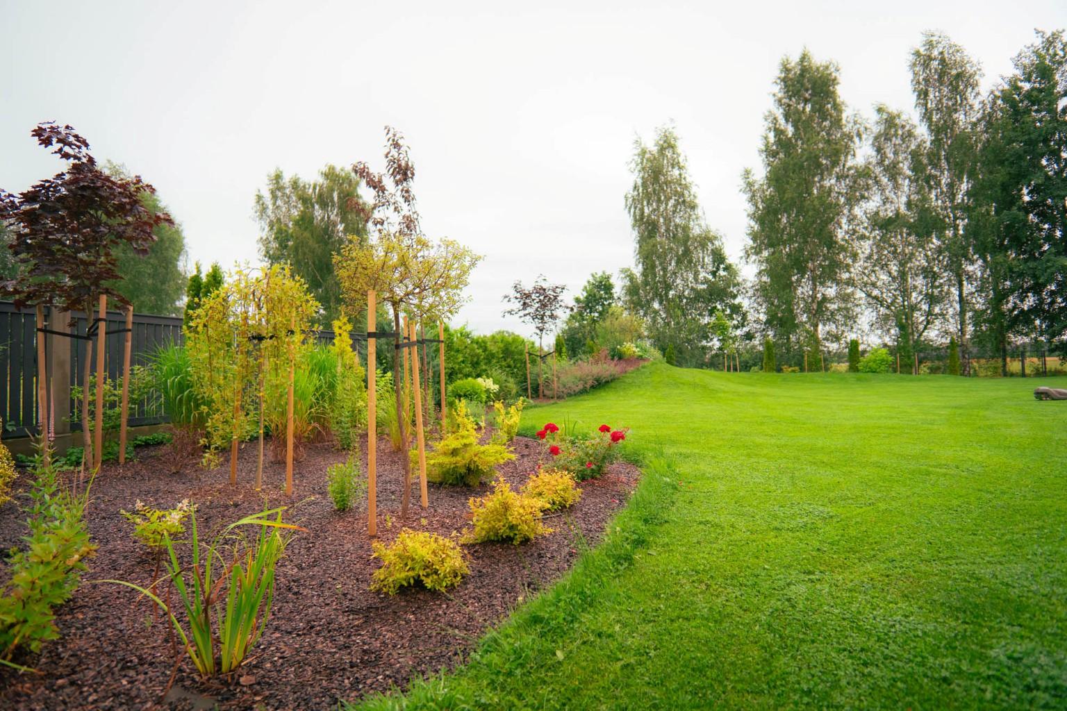 darzs-marupe-1-DSC00807