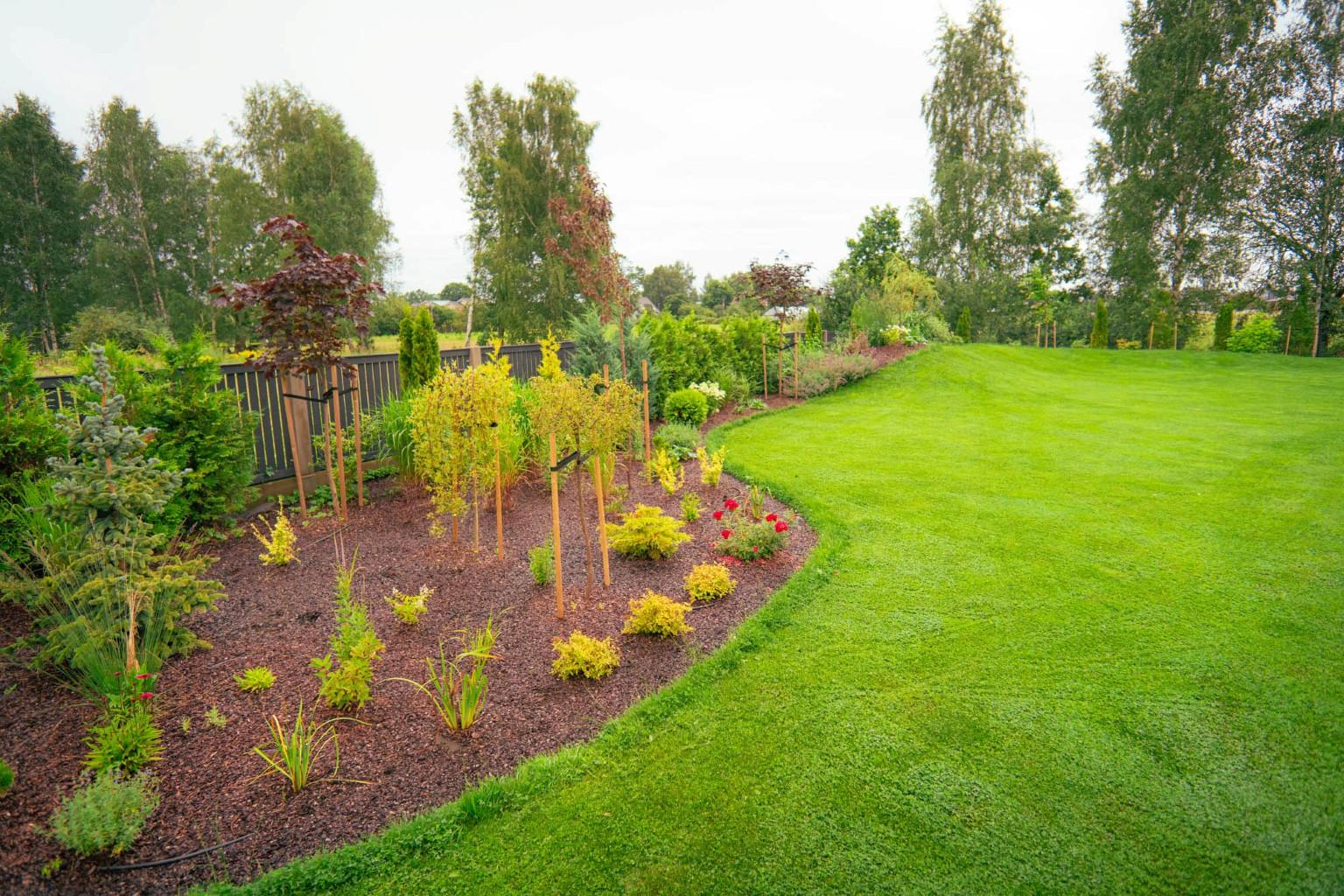 darzs-marupe-1-DSC00808