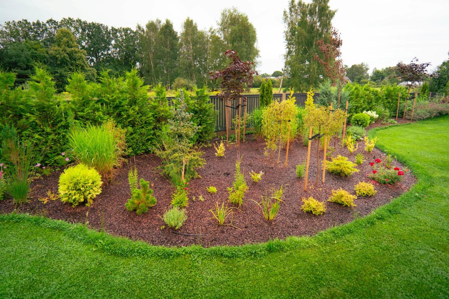 darzs-marupe-1-DSC00809