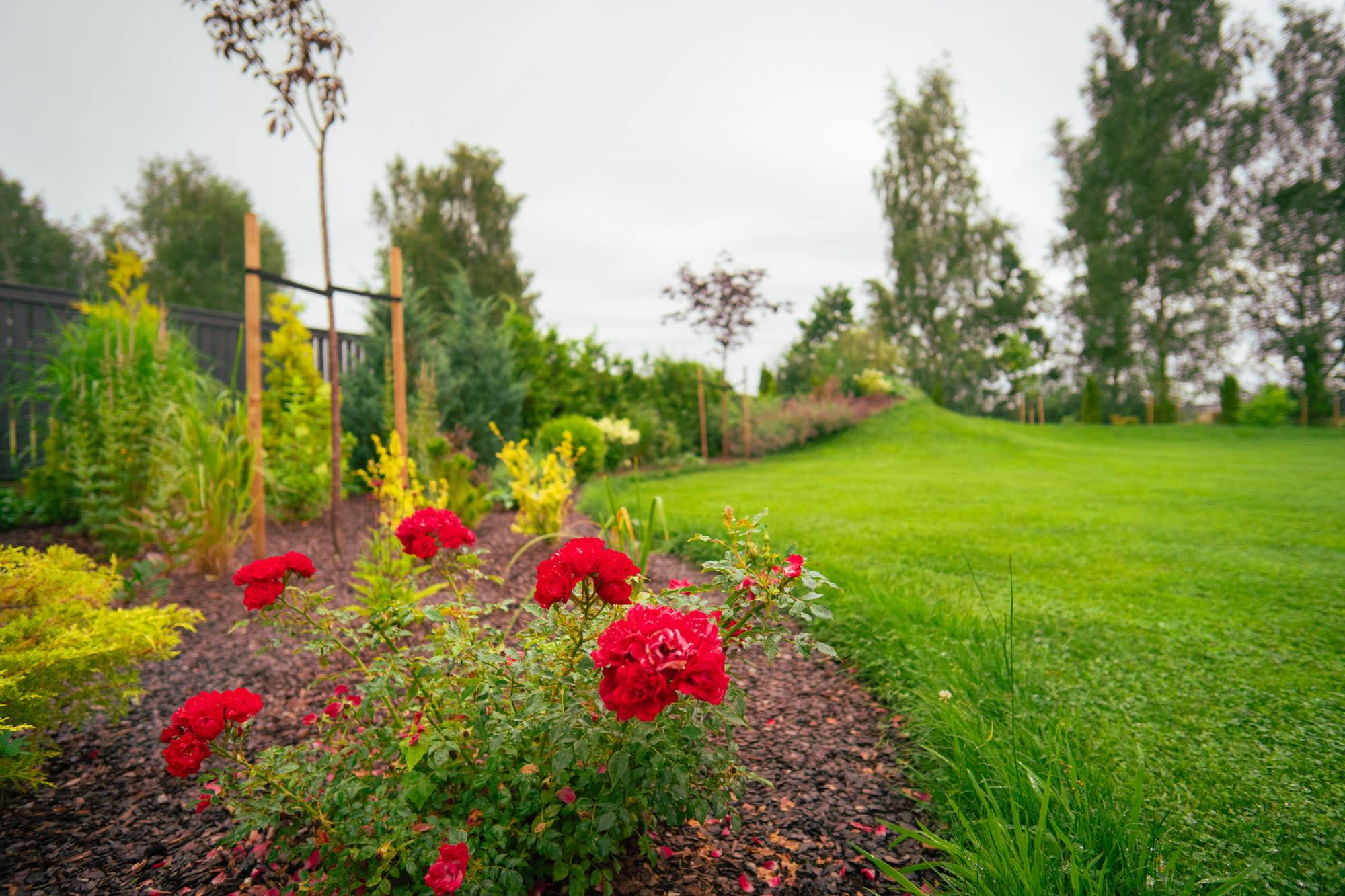 darzs-marupe-1-DSC00810