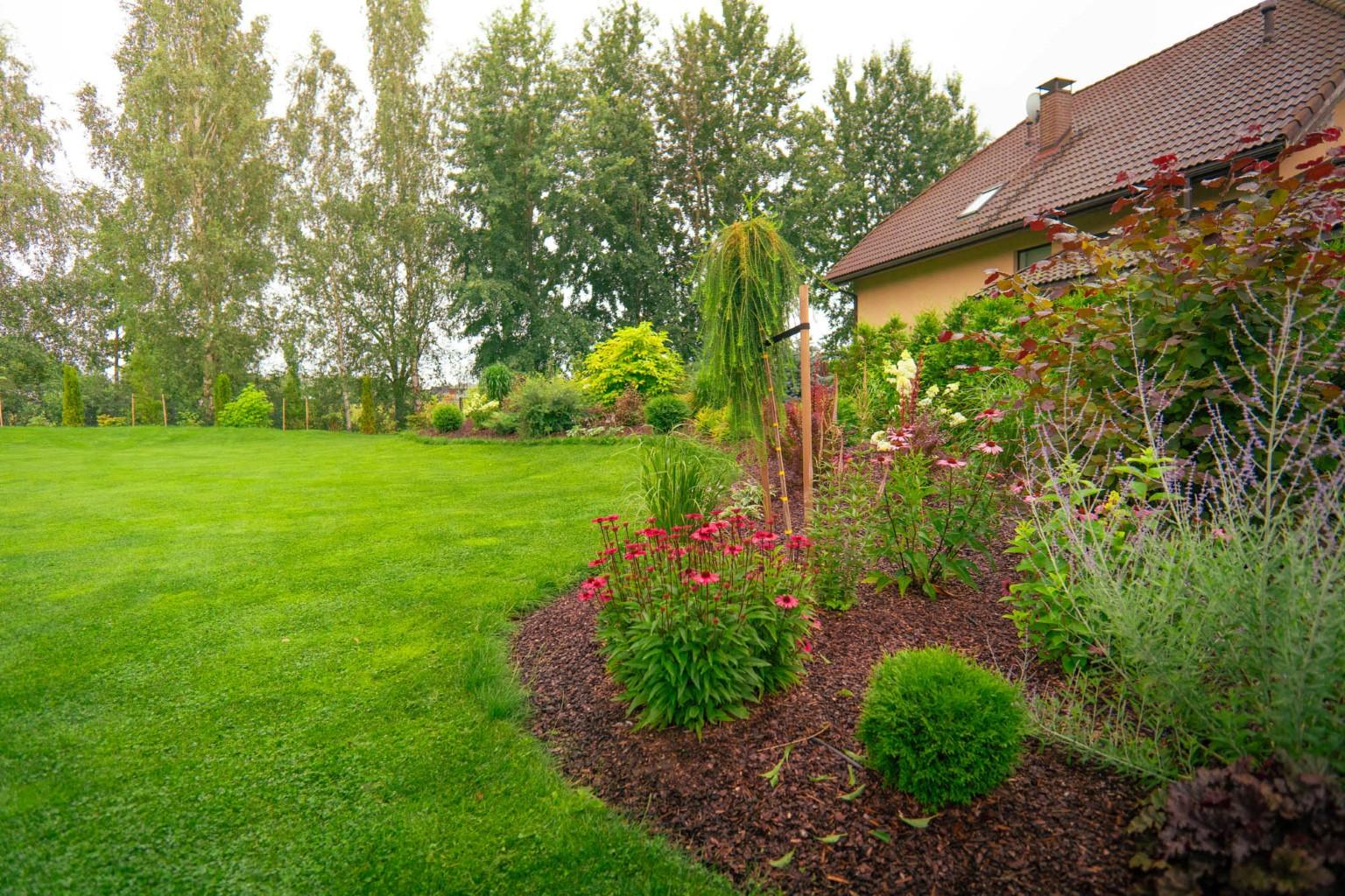 darzs-marupe-1-DSC00824